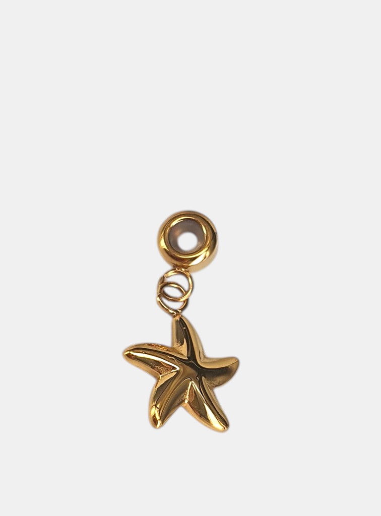CHARMS ESTRELLA MAR